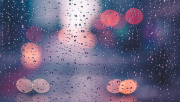 A Chuva e o Vento Regressam Amanhã