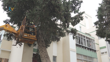 Depressão Kristin Provoca Estragos na Amadora