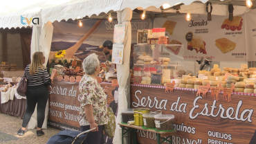 Parque Delfim Guimarães Recebe Mercado "Venteira Viva"