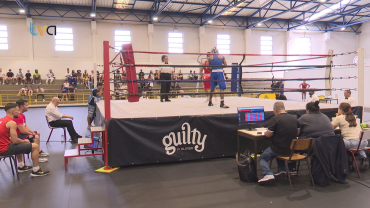 Amadora Recebe Taça de Portugal de Boxe